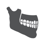 A drawn icon of a skeletal upper and lower jaw, clenching and showing its full set of teeth